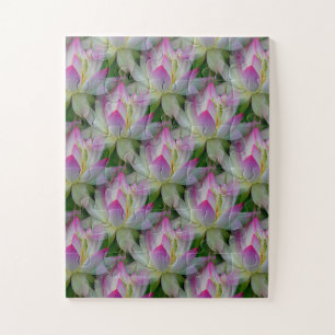 Loving Lotuses... Jigsaw Puzzle