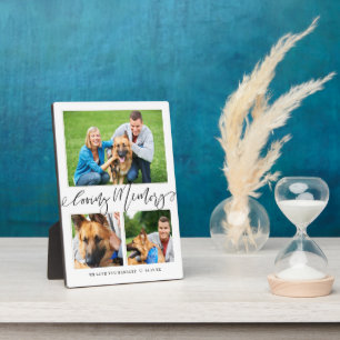 Loving Memory 3 Photo Pet Memorial Collage Plaque