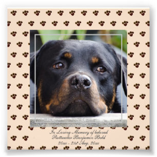 Loving Memory Rottweiler  PHOTO Named Keepsake Print