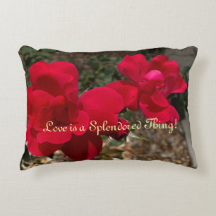 Loving Pillow for Valentine's Day!