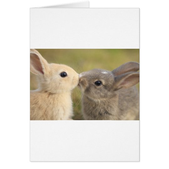 loving rabbit card
