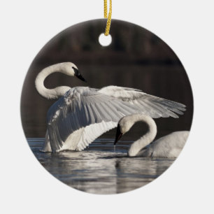 Loving Swans Ceramic Ornament