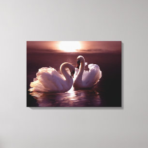 Loving Swans Forming a Heart Canvas Print