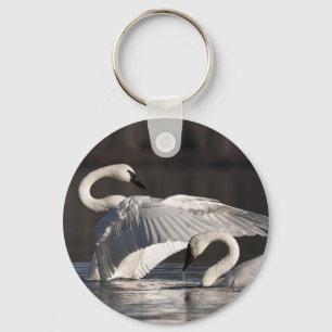 Loving Swans Keychain