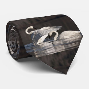 Loving Swans Tie