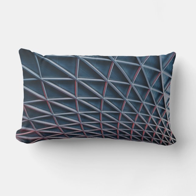 Low-angle photo of building structure lumbar pillow (Front)
