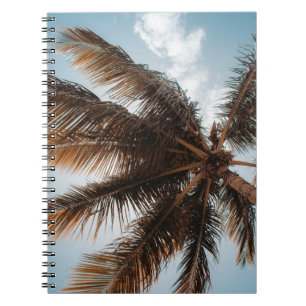 Low-angle photo of coconut tree notebook