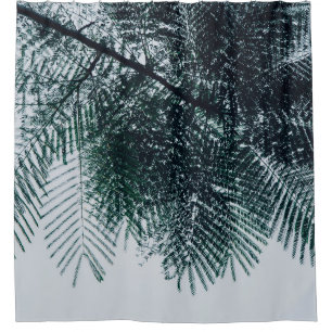 Low-angle photo of green tree
