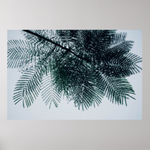 Low-angle photo of green tree poster