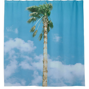 Low-angle photo of palm trees under blue sky