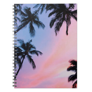 Low-angle photography coconut trees during golden notebook