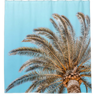 Low-angle photography of a green palm tree under a