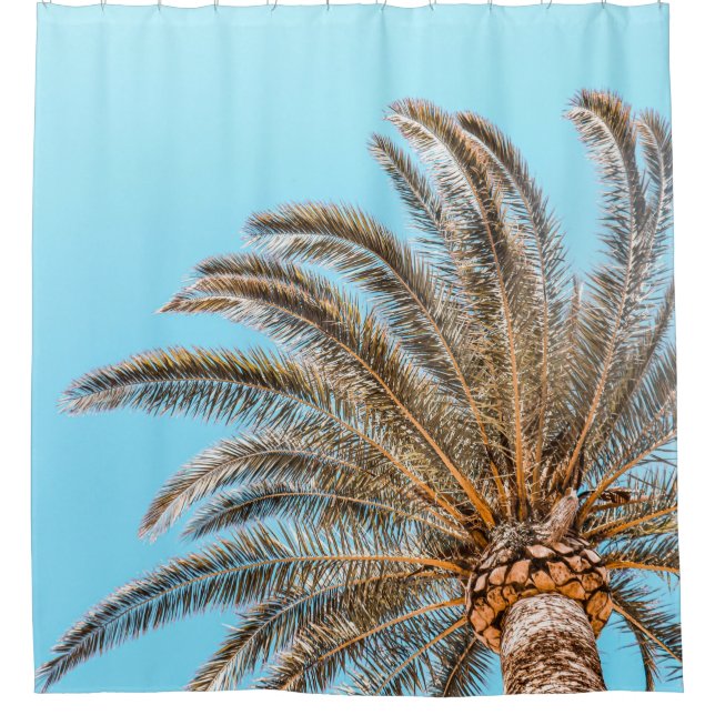 Low-angle photography of a green palm tree under a (Front)