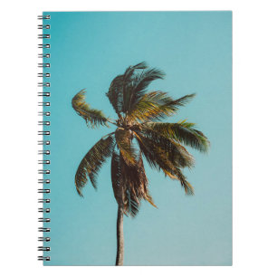 Low angle photography of coconut tree notebook