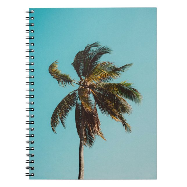 Low angle photography of coconut tree notebook (Front)
