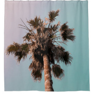 Low-angle photography of palm plant