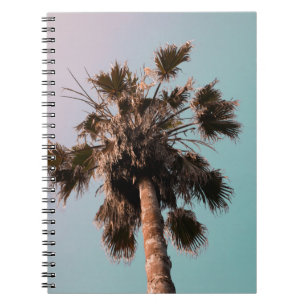 Low-angle photography of palm plant notebook
