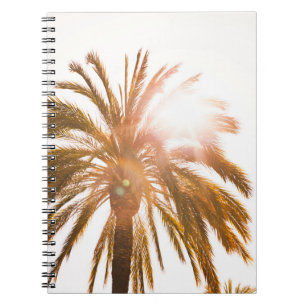 Low angle photography of palm tree notebook