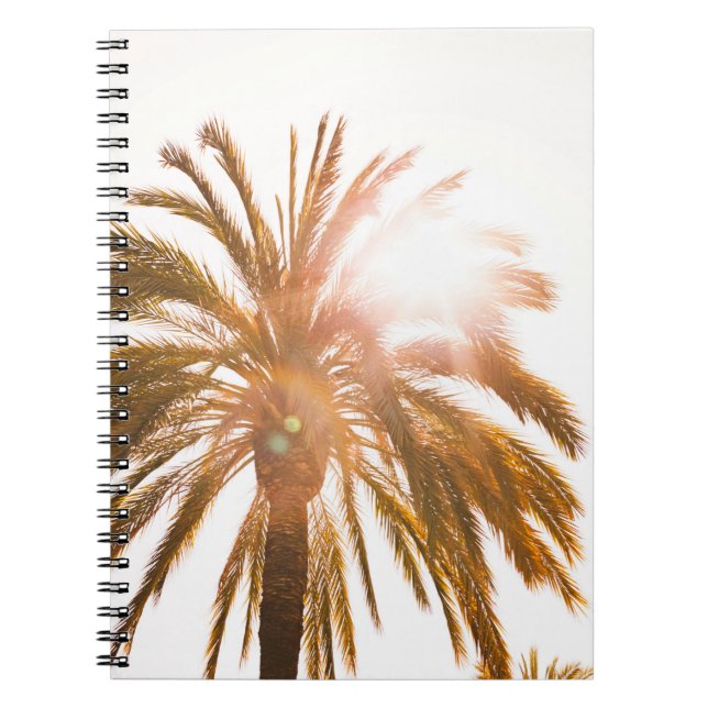 Low angle photography of palm tree notebook (Front)