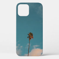 Low angle photography of palm tree under blue sky