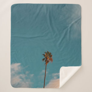 Low angle photography of palm tree under blue sky sherpa blanket