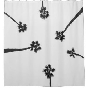 Low angle photography of six trees
