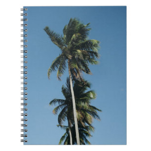 Low angle photography of three coconut trees notebook