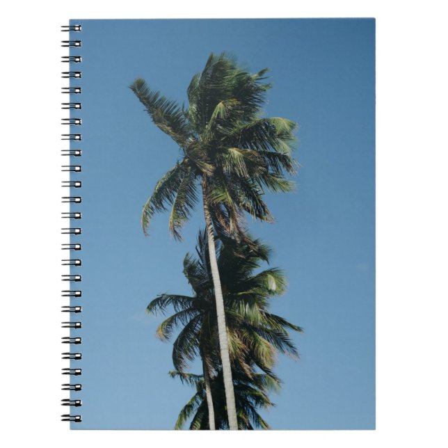 Low angle photography of three coconut trees notebook (Front)