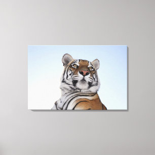Low angle view of a Tiger (Panthera tigris) Canvas Print