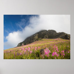 Low Angle View Of Watsonias Against The Slopes Poster