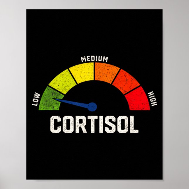 Low Cortisol Levels Meme Poster (Front)