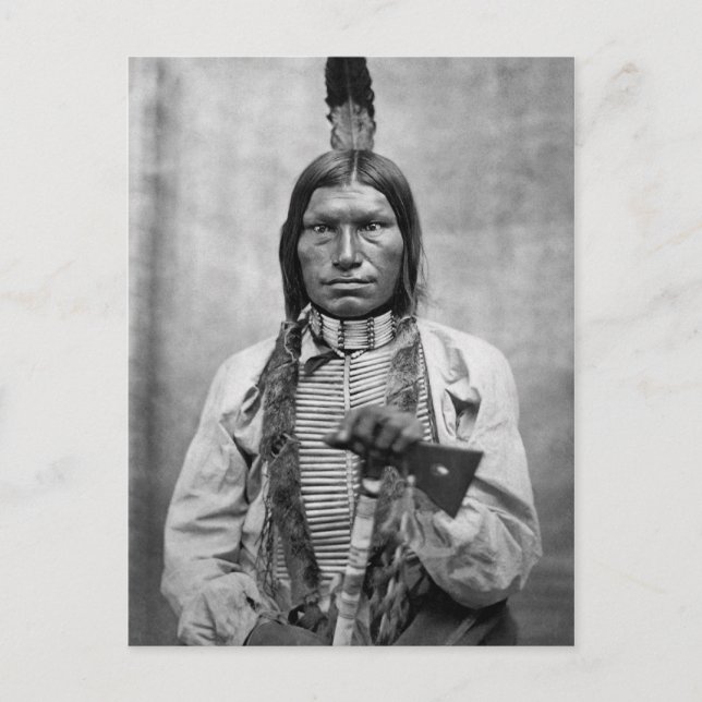 Low Dog - Native American vintage photo Postcard (Front)