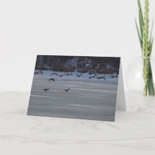 Low Flying Geese Card