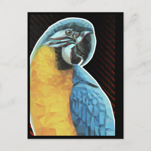 Low Poly Macaw Postcard