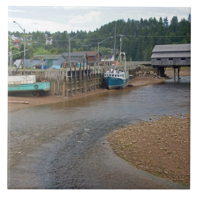 Low tide at the Bay of Fundy at St. Martins, New Tile (Front)