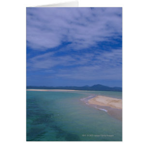 Low tide at the beach