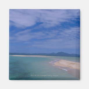 Low tide at the beach magnet