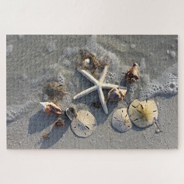 Low Tide Beach Treasures, Florida Jigsaw Puzzle (Horizontal)