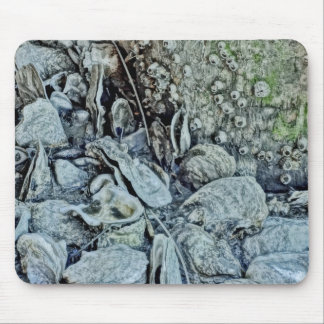 Low Tide Beauty Oyster Bed Mouse Pad