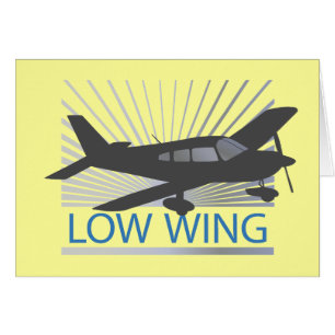 Low Wing Airplane