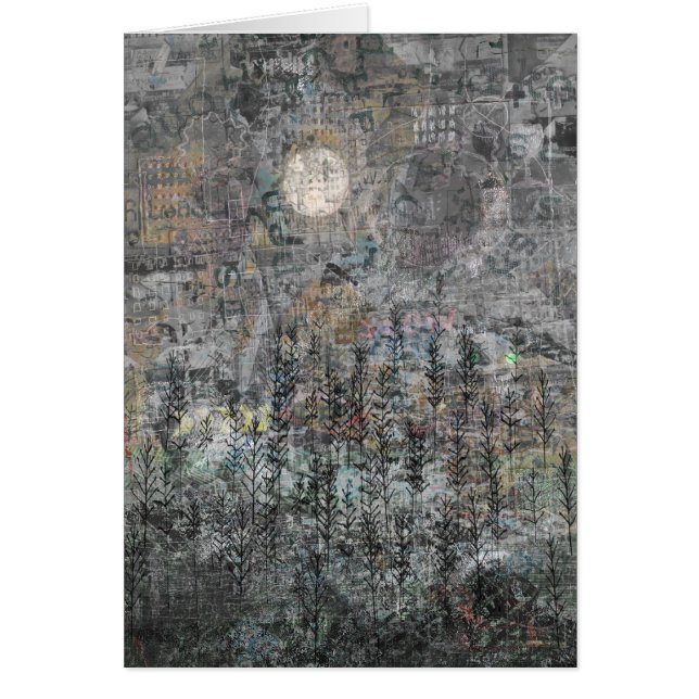 Low Winter Sun (Front)