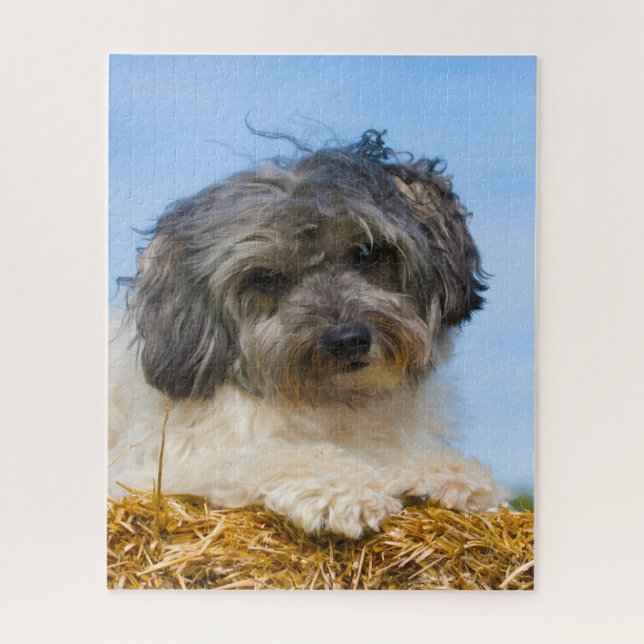 Löwchen Dog Breed. Jigsaw Puzzle (Vertical)