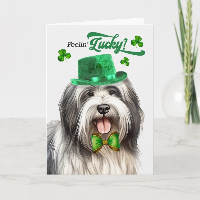 Lowchen Dog Feelin' Lucky St Patrick's Day Holiday Card (Front)