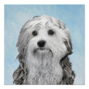 Lowchen Painting - Cute Original Dog Art Poster