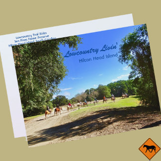 Lowcountry Horse Trail Rides Hilton Head Island SC Postcard