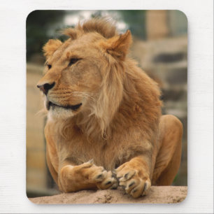 Löwe mit Punkerfrisur Mouse Pad