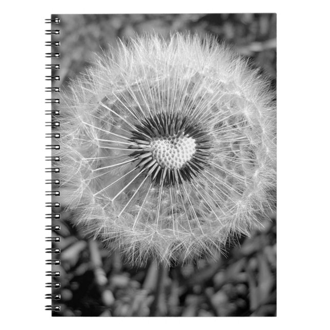 Löwenzahn Notebook (Front)