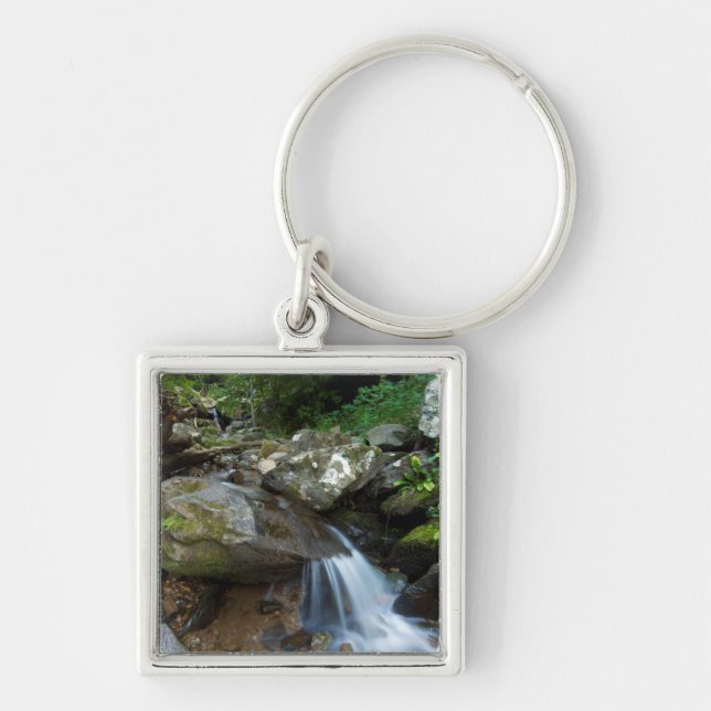 Lower Dark Hollow Falls, Shenandoah Keychain (Front)
