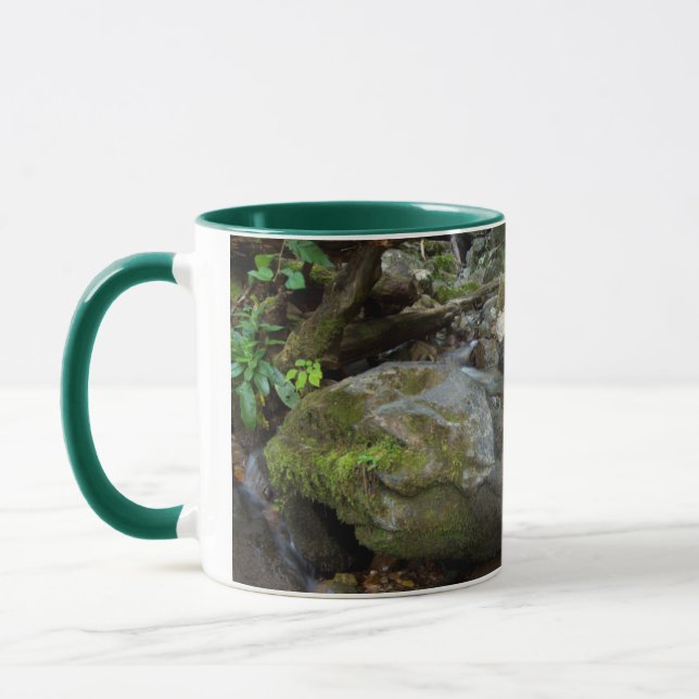 Lower Dark Hollow Falls, Shenandoah Mug (Left)