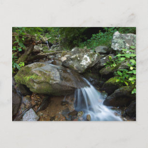 Lower Dark Hollow Falls, Shenandoah Postcard